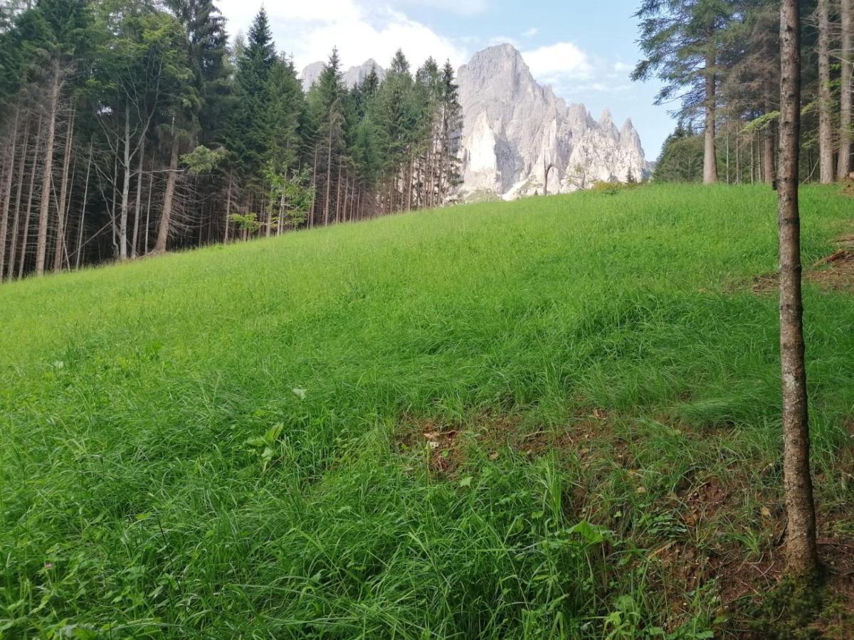 Baita Pra Petina Pale Di San Martino Siror 外观 照片