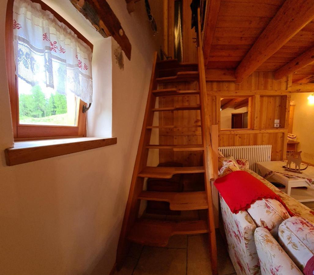 Baita Pra Petina Pale Di San Martino Siror 外观 照片